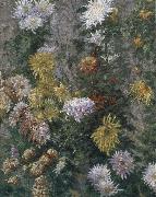 Gustave Caillebotte White and yellow chrysanthemum USA oil painting artist